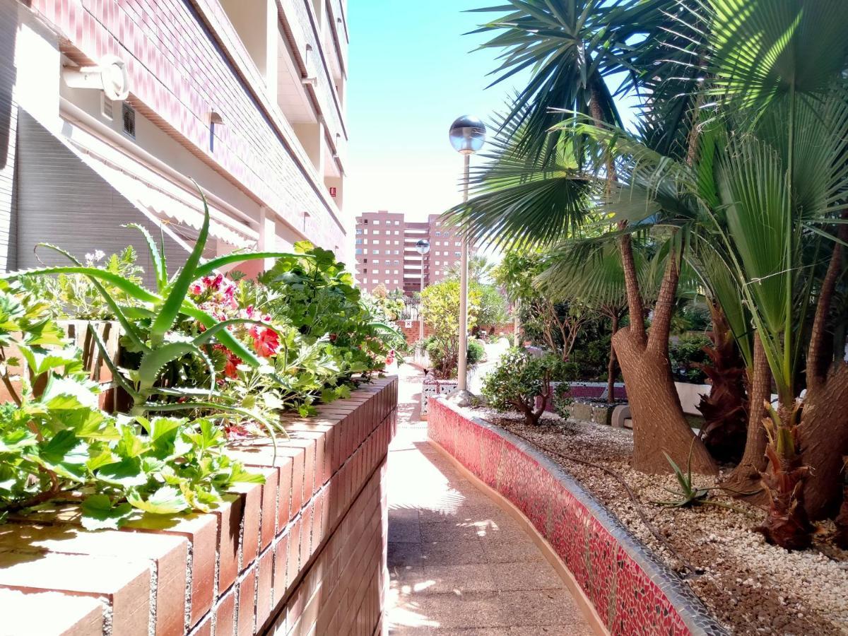 Acv - Playa Coral I-2ª Linea Planta 3 Norte Oropesa del Mar Exterior photo